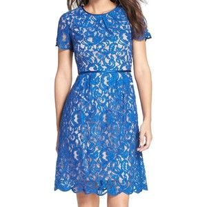Adrianna Papell Navy Scalloped Lace Cocktail Dress, Lined, Size 6